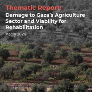 Cover image, with title, of research report.