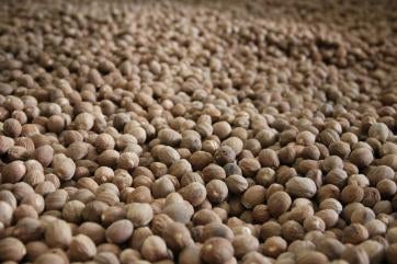 Whole nutmeg