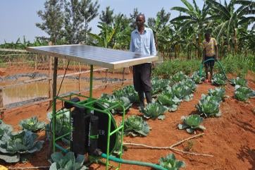 Rwandan farmers increased their yields by up to 70% in 2020 with solar irrigation systems purchased with support from energy 4 impact.