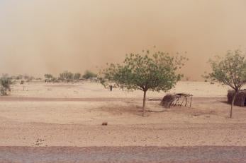 After rains did not arrive, harvests failed throughout Niger in 2011. Now the land is dry and barren, and families are struggling to find enough to eat. Photo: Cully Lundgren/Prosper Global