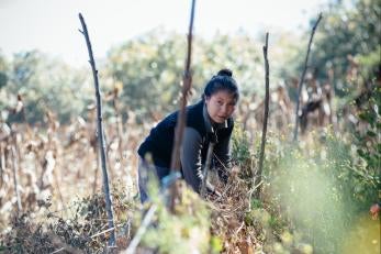 Olga, 16, attends a group training session at a demonstration plot in her community in Guatemala. The agricultural education is part of Prosper Global’s initiative to give Guatemalan youth alternatives to migration.