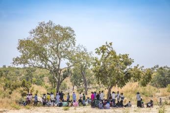 people gathering under trees