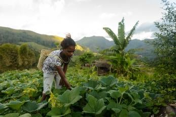 A girl in a green field with a basket on her back.