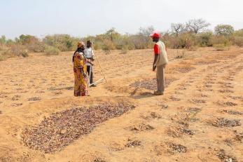 Two community members and a Prosper Global employee engage in a agricultural setting.