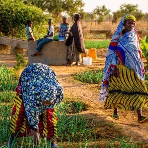 Malian agricultural scene.