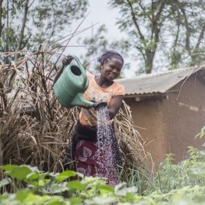 A person watering plants.