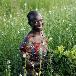 Ugandan woman stands in field of sesame.