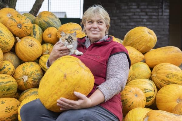 Ukrainian woman sitting amid pumpkins.