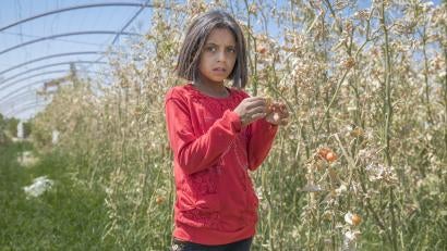 Dou’aa stands inside their greenhouse. The use of greenhouses is not common in this area, and thanks to this one, her family is the first that is able to grow vegetables out of season. "Developing this as a demonstration plot will help other farmers," Abu Goubran says.