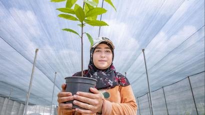 Farmer in greenhouse holding a single plant