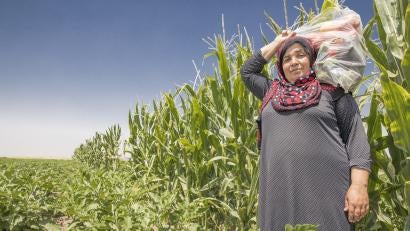 Abu Goubran's wife, Houda, harvests vegetables. The farm uses organic methods, with an apiary on-site to pollinate the fields.