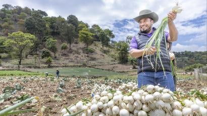 Guatemalan prosper global participant in agricultural setting behind a pile of onions.