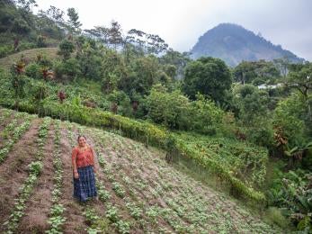 Guatemalan farmer stands smiling in field.